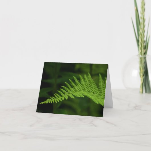 Fern P6597 Kaart (Voorkant)