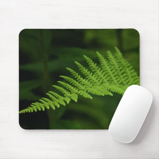 Fern P6597 Mousepad Muismat (Met muis)