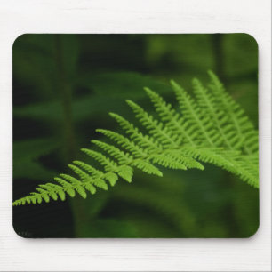 Fern P6597 Mousepad Muismat