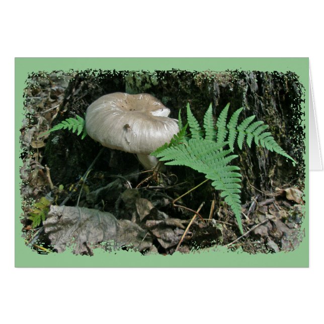 Fern & paddenstoel bij Stump Coordinating Items (Voorkant Horizontaal)