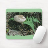 Fern & paddenstoel bij Stump Coordinating Items Muismat (Met muis)
