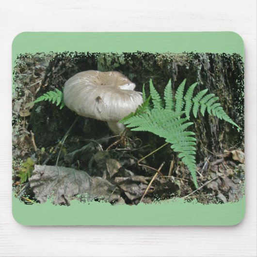 Fern & paddenstoel bij Stump Coordinating Items Muismat (Voorkant)