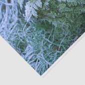 Fern-papier, bevroren tissuepapier (Detail)