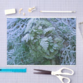 Fern-papier, bevroren tissuepapier (Craft)