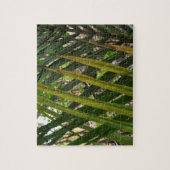 fern patroonpuzzel groen op groen legpuzzel (Verticaal)