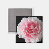 Fern Pioen Vierkante Magneet (Voorkant / Achterkant)