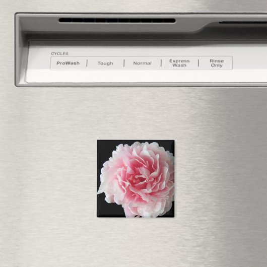 Fern Pioen Vierkante Magneet (Insitu (Vaatwasser))