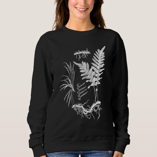 Fern Plant Botanical Ferns Illustratie Flowerless Trui (Voorkant)
