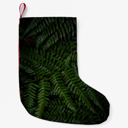 Fern plant kleine kerstsok (Voorkant)