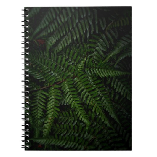 Fern plant notitieboek (Voorkant)