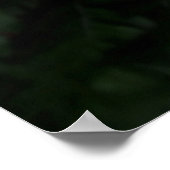 Fern plant poster (Hoek)