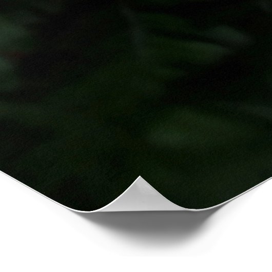 Fern plant poster (Hoek)