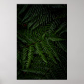 Fern plant poster (Voorkant)