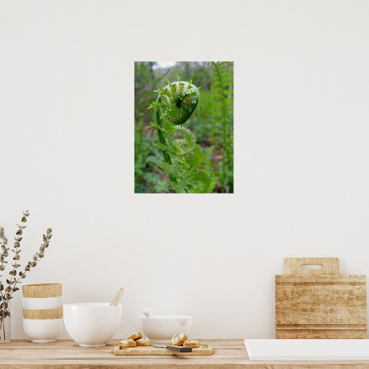 Fern Poster (Keuken)