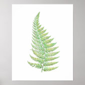 Fern Poster (Voorkant)