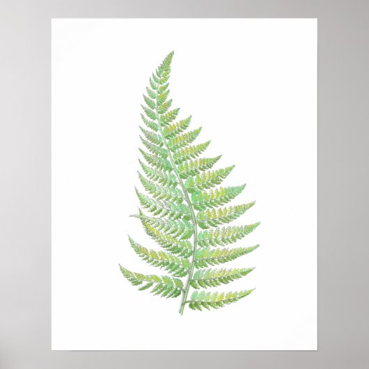 Fern Poster (Voorkant)