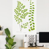 Fern Poster (Thuiskantoor)