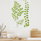 Fern Poster (Keuken)