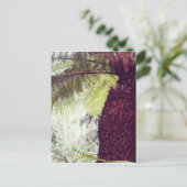 Fern Rainforest Briefkaart (Staand voorkant)