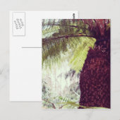 Fern Rainforest Briefkaart (Voorkant / Achterkant)