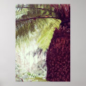 Fern Rainforest Poster (Voorkant)