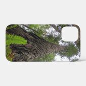 Fern Reaching to Sky Along Redwood's Swirled Bark Case-Mate iPhone Case (Achterkant (horizontaal))