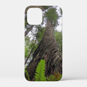 Fern Reaching to Sky Along Redwood's Swirled Bark Case-Mate iPhone Case