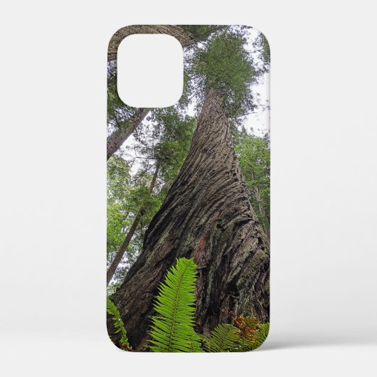 Fern Reaching to Sky Along Redwood's Swirled Bark Case-Mate iPhone Case (Achterkant)