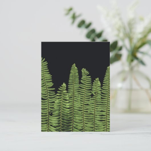 Fern Row Briefkaart (Staand voorkant)