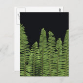 Fern Row Briefkaart (Voorkant / Achterkant)