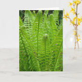 Fern schiet Note Kaart (Gele Bloem)