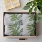 Fern-schijfje met tekstruimte tissuepapier (Geschenk)