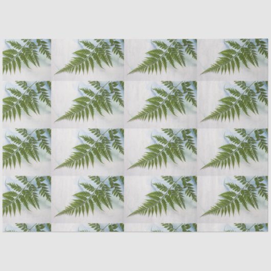 Fern-schijfje met tekstruimte tissuepapier (Voorkant)