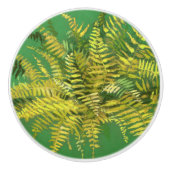 Fern, schijfjes, groene goudgele groen keramische knop (Voorkant)