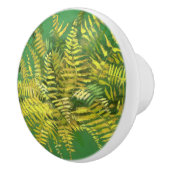 Fern, schijfjes, groene goudgele groen keramische knop (Rechts)