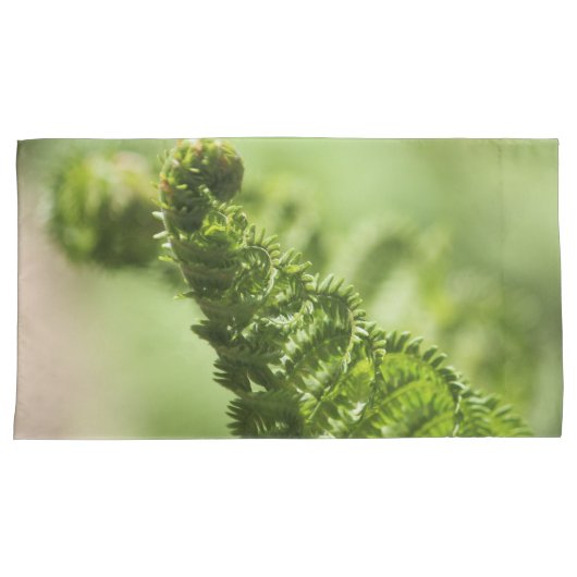 Fern Shams Kussensloop (Voorkant-Rechts)