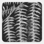 Fern Stickers (Voorkant)