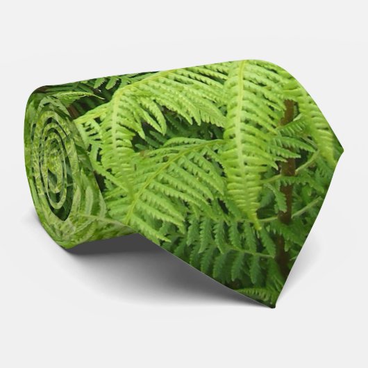 Fern Stropdas (Opgerold)