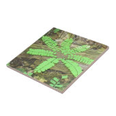 Fern Tegel Tegeltje (Zijkant)