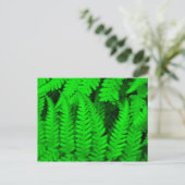 fern_tree briefkaart (Staand voorkant)