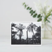 Fern Tree Forest, Natuur, Nieuw-Zeeland Briefkaart (Staand voorkant)