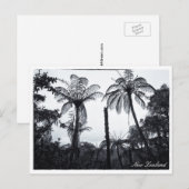 Fern Tree Forest, Natuur, Nieuw-Zeeland Briefkaart (Voorkant / Achterkant)
