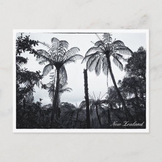 Fern Tree Forest, Natuur, Nieuw-Zeeland Briefkaart (Voorkant)