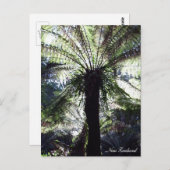 Fern Tree, Nieuw-Zeeland, inheemse Natuur Briefkaart (Voorkant / Achterkant)