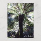 Fern Tree, Nieuw-Zeeland, inheemse Natuur Briefkaart (Voorkant)