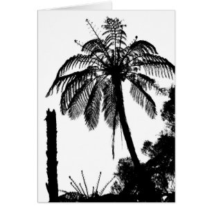 Fern Trees, Silver Fern Silhouette/Nieuw-Zeeland