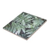 Fern Tropical Green Leaves Plant Woodland Foliage Tegeltje (Zijkant)