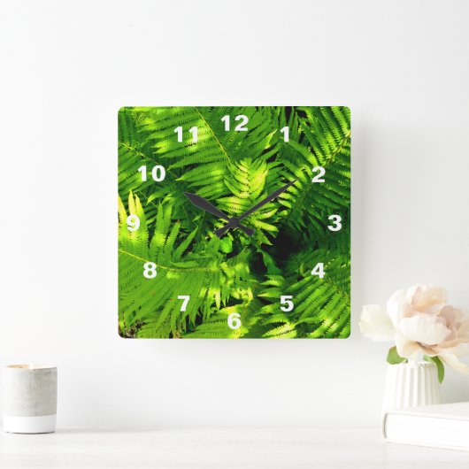 Fern Vierkante Klok (Huis)