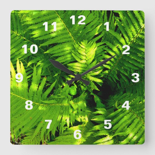 Fern Vierkante Klok (Voorkant)