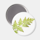 fernbladeren magneet (Voorkant / Achterkant)
